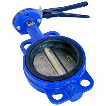 Затвор дисковый Ду350       